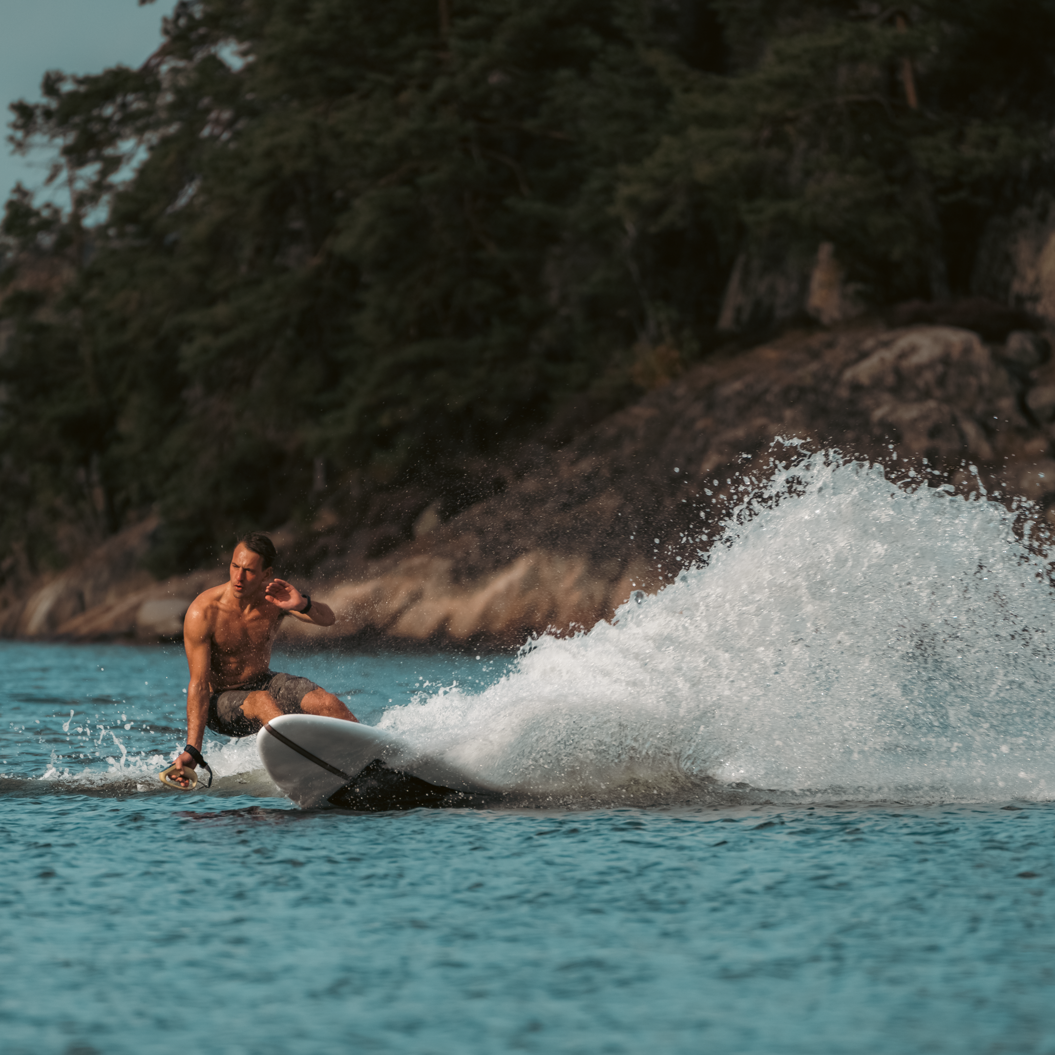 LIND Art & Technology — Electric Surfboards